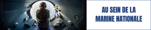 banniere marine nationale guerre electronique