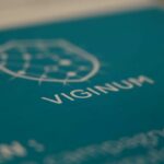 académie désinformation viginum