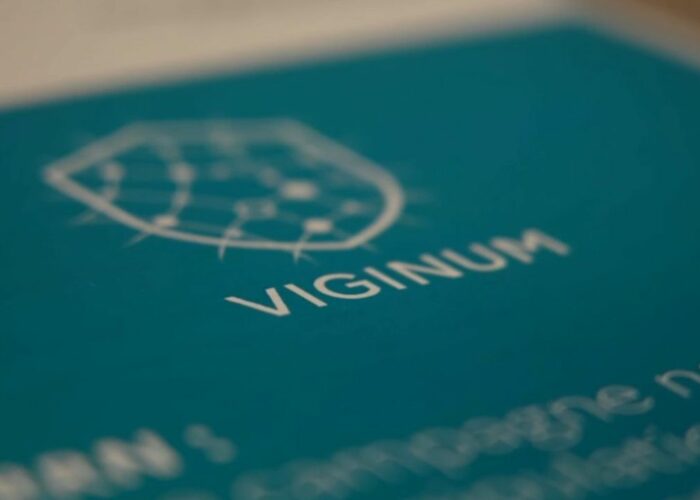 académie désinformation viginum