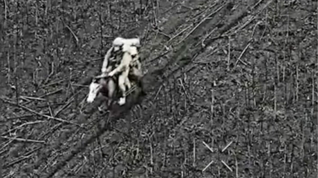 russian soldier horse drone target